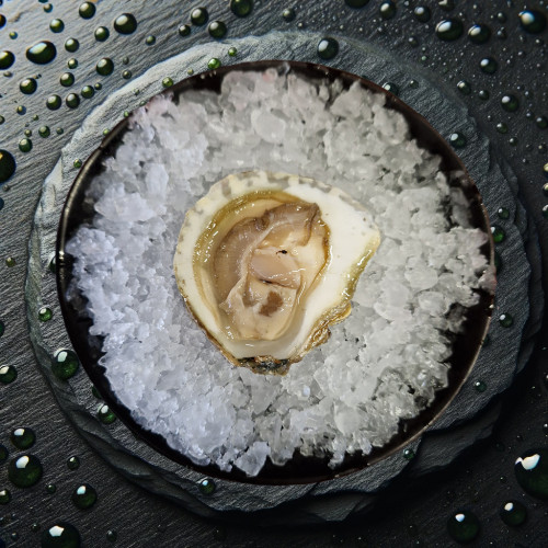 Huître plate Bretonne - Baie de Quiberon - Elevée en eau profonde, direct producteur tout calibres