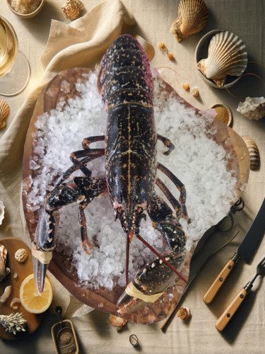 Homard Bleu Européen - Disponible Vivant ou Cuit