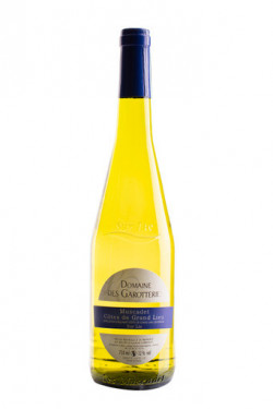 Muscadet Côtes
