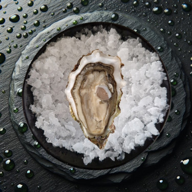 Box Découverte Huîtres de Bretagne | Creuses & Plates de Quiberon – Livraison 24h