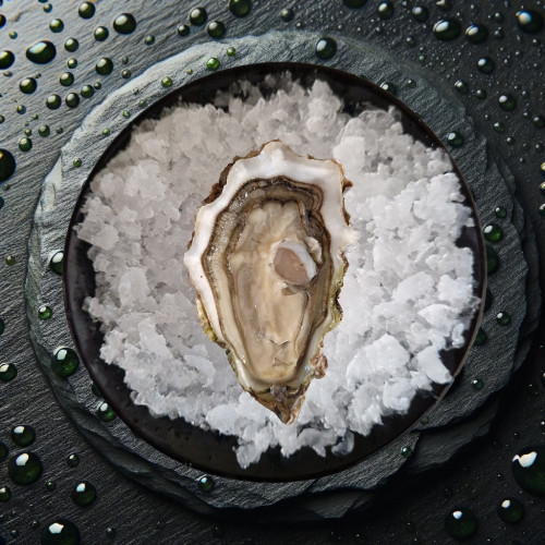 Box Découverte Huîtres de Bretagne | Creuses & Plates de Quiberon – Livraison 24h