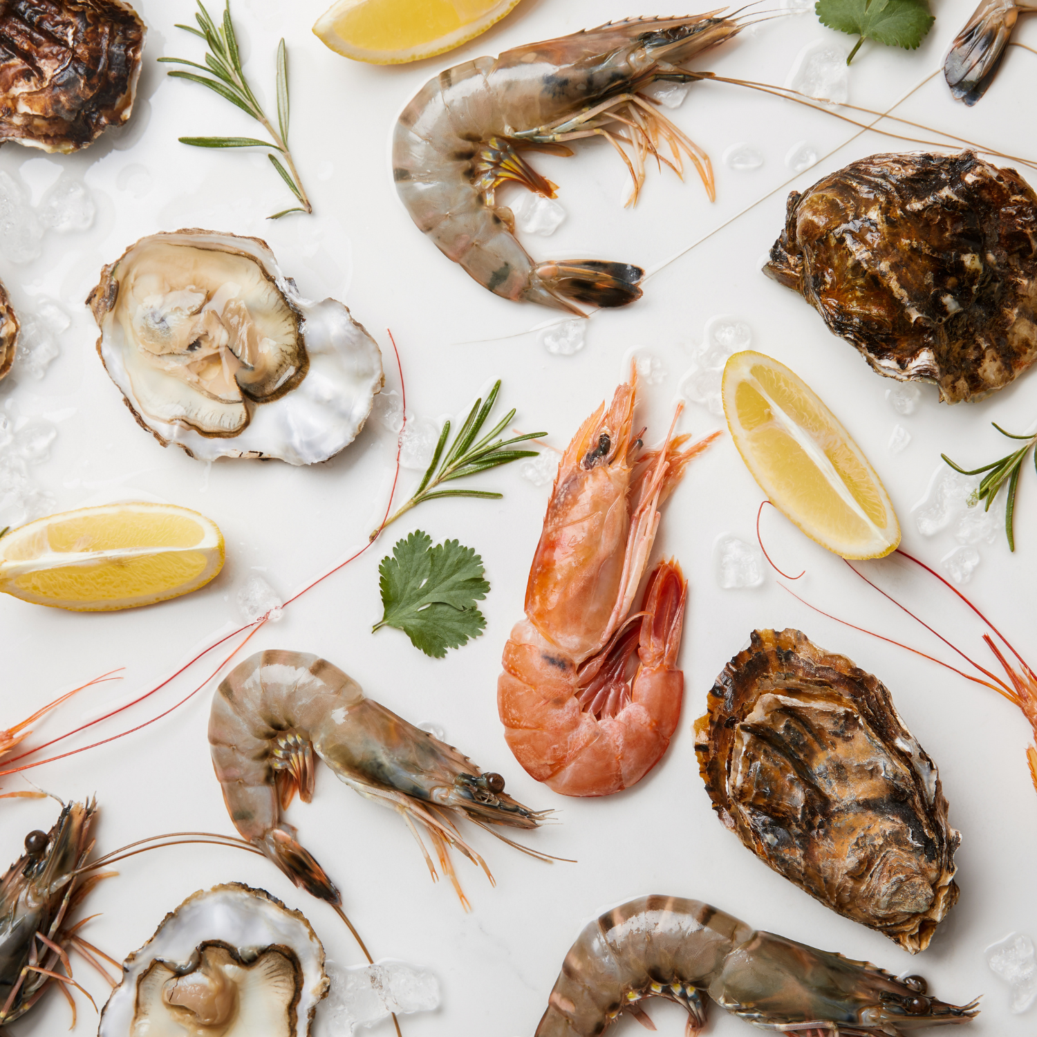 Peut-on congeler les fruits de mer après leur livraison ? GUEZEL MC