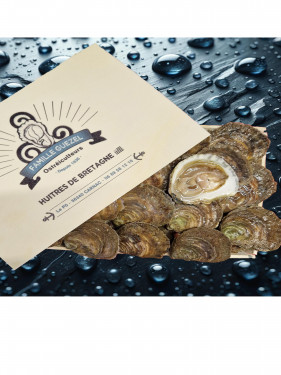 Huître plate Bretonne - Baie de Quiberon - Elevée en eau profonde