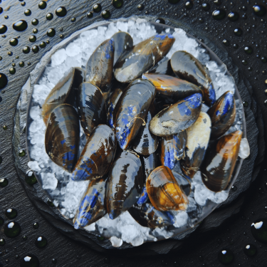 Moules de filière...